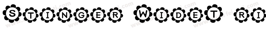 Stinger WideT ri Bol字体转换